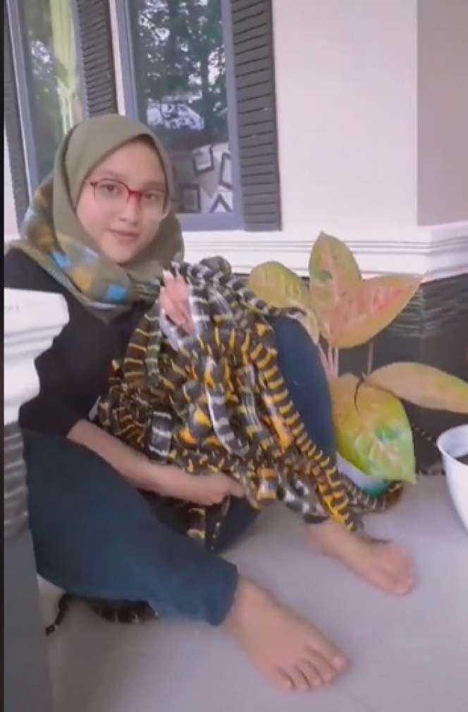 Ngeri, Gadis Ini Pelihara Puluhan Ular, Aksinya Bikin Merinding!