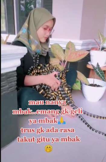 Ngeri, Gadis Ini Pelihara Puluhan Ular, Aksinya Bikin Merinding!