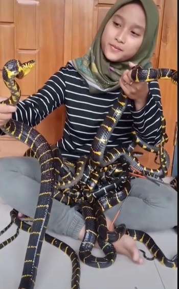 Ngeri, Gadis Ini Pelihara Puluhan Ular, Aksinya Bikin Merinding!