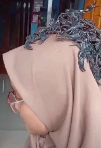 Ngeri, Gadis Ini Pelihara Puluhan Ular, Aksinya Bikin Merinding!