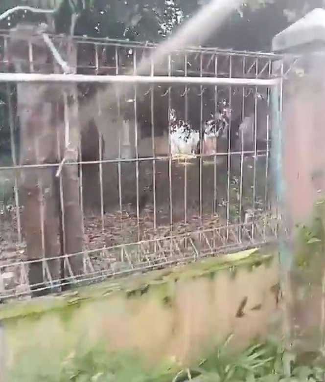 Potret Makam Sang Pangeran Dangdut Abiem Ngesti, Miris Banget!