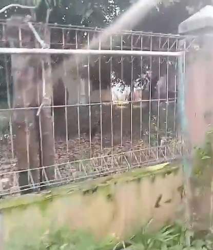Potret Makam Sang Pangeran Dangdut Abiem Ngesti, Miris Banget!