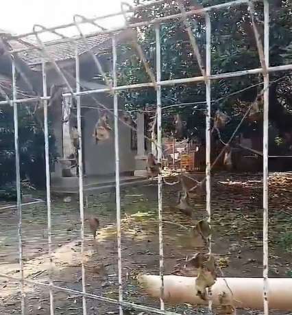 Potret Makam Sang Pangeran Dangdut Abiem Ngesti, Miris Banget!