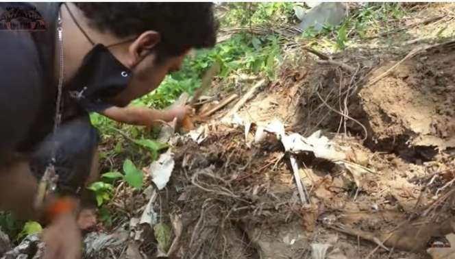 Bikin Heboh, Panji Petualang Bongkar Sarang Ular Bertaring Panjang, Endingnya…