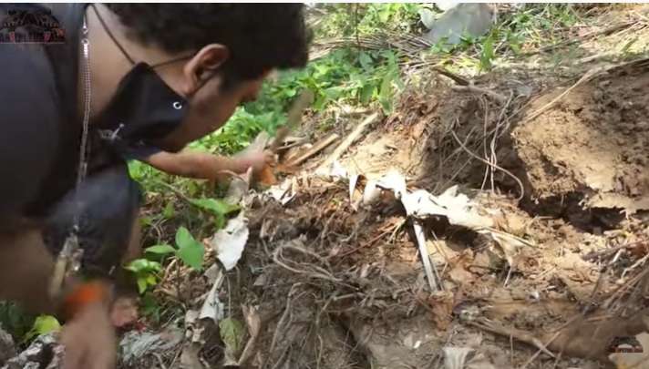 Bikin Heboh, Panji Petualang Bongkar Sarang Ular Bertaring Panjang, Endingnya…