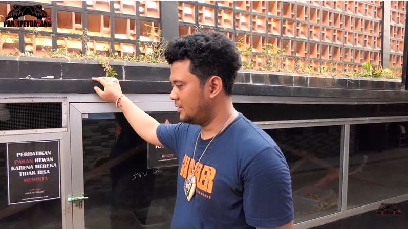 8 Foto Detik-detik Panji Petualang Nyaris Digigit Black Mamba KW, Ngeri Banget!