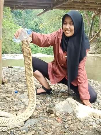 Merinding Abis! Gadis Ciamis Ini Kasih Minum King Kobra Pakai Tangan, Endingnya...