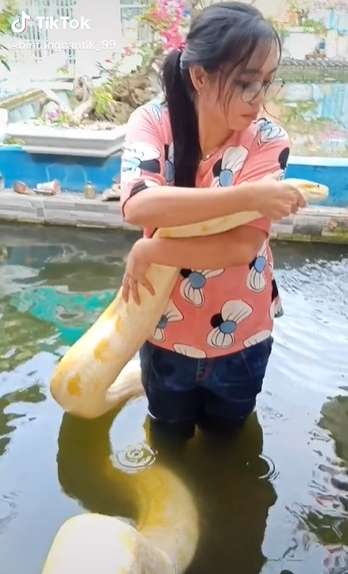Merinding Abis! Gadis Ciamis Ini Kasih Minum King Kobra Pakai Tangan, Endingnya...