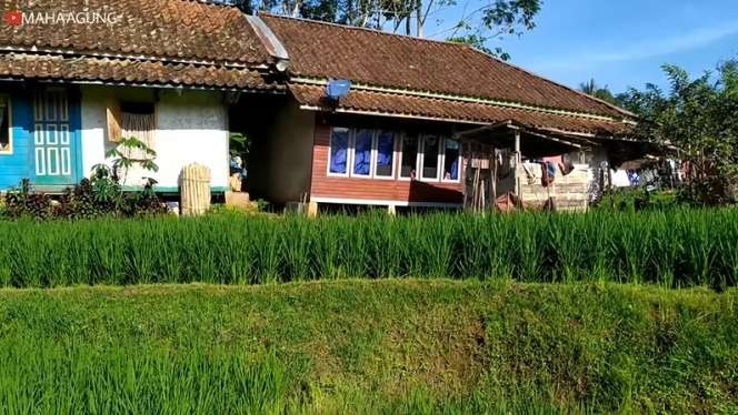 7 Potret Gadis Sunda Cantik Main di Sawah, Parasnya Bikin Pria Terhipnotis!