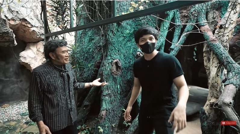 10 Potret Mewahnya Rumah ‘Raja Dangdut’ Rhoma Irama, Bentuk Mushola Bikin Syok!