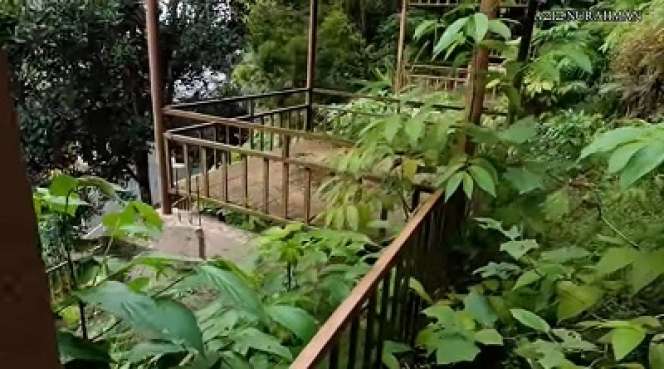 7 Potret Mengenaskan Hotel Bak Istana Seluas 15 Hektare Terbengkalai di Tengah Hutan