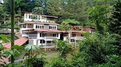 7 Potret Mengenaskan Hotel Bak Istana Seluas 15 Hektare Terbengkalai di Tengah Hutan