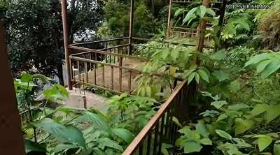 7 Potret Mengenaskan Hotel Bak Istana Seluas 15 Hektare Terbengkalai di Tengah Hutan