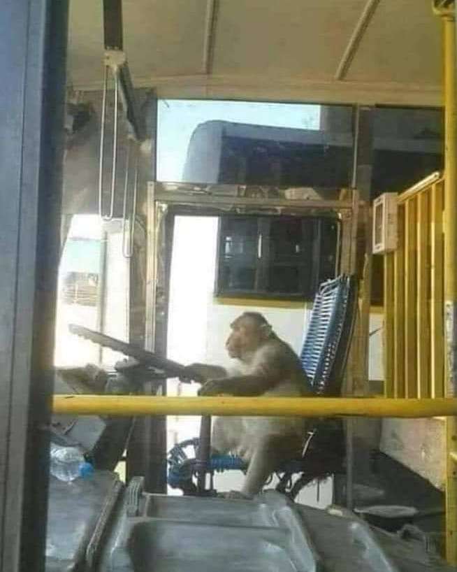 10 Momen Kocak Penumpang Saat di Bus, Tingkahnya Bikin Geleng Kepala!