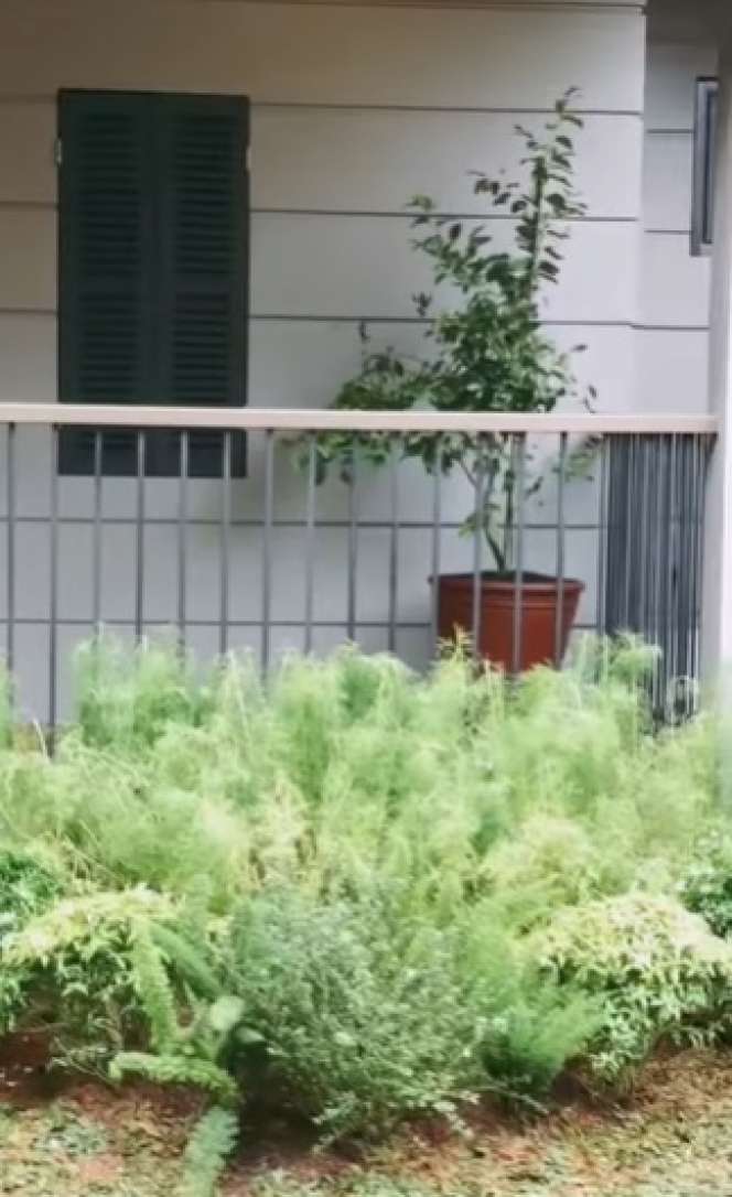 Penampakan Rumah Arya Saloka usai Renovasi, Bikin Betah!