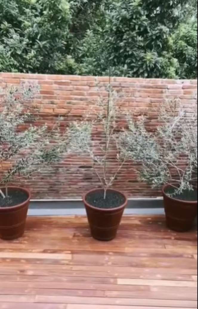 Penampakan Rumah Arya Saloka usai Renovasi, Bikin Betah!