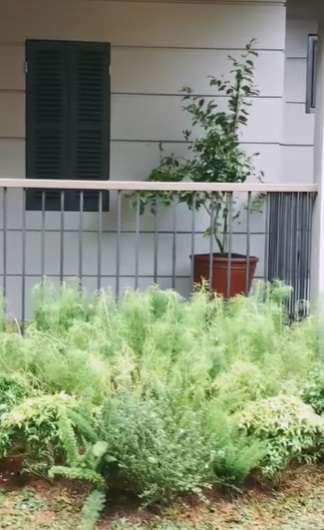 Penampakan Rumah Arya Saloka usai Renovasi, Bikin Betah!