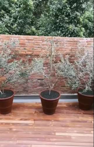 Penampakan Rumah Arya Saloka usai Renovasi, Bikin Betah!