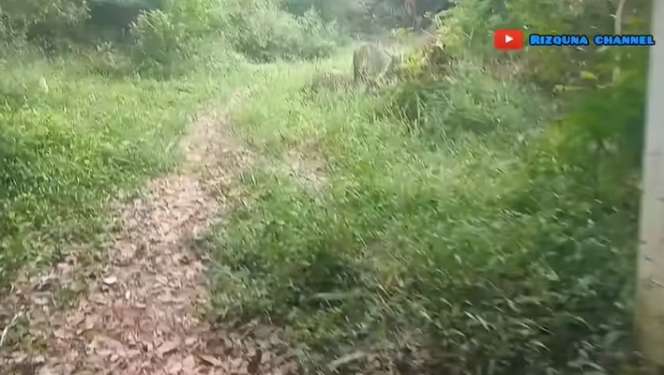 Penampakan Villa dan Tempat Wisata Terbengkalai, Kolam Renangnya Luas Banget!