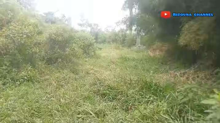 Penampakan Villa dan Tempat Wisata Terbengkalai, Kolam Renangnya Luas Banget!
