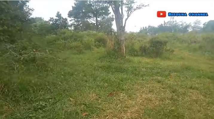Penampakan Villa dan Tempat Wisata Terbengkalai, Kolam Renangnya Luas Banget!