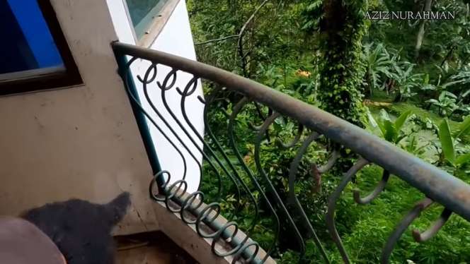 10 Potret Rumah Sultan Terbengkalai di Tepi Jurang, Mewah Bak Istana Tapi Menyeramkan!