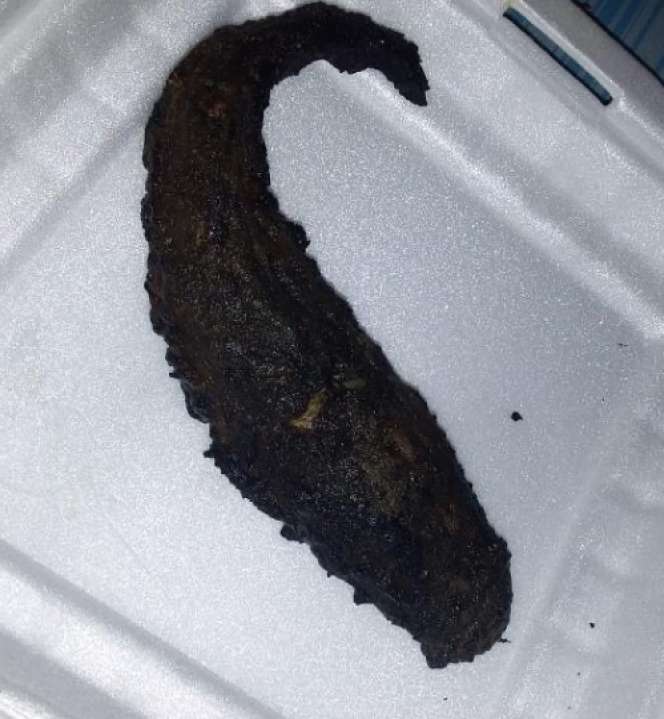 Penampakan 10 Makanan Tak Sesuai Ekspektasi yang Dibeli via Ojol