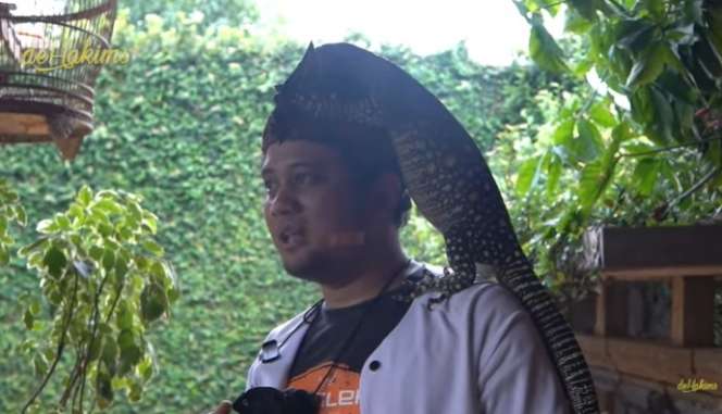Aksi Berani Panji Petualang Gendong Biawak Terpanjang di Dunia, Bergidik Lihatnya!
