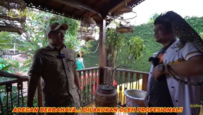 Aksi Berani Panji Petualang Gendong Biawak Terpanjang di Dunia, Bergidik Lihatnya!