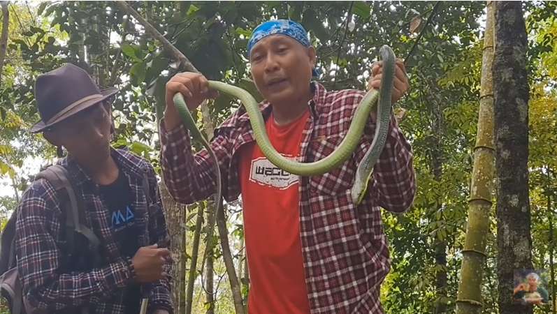 8 Foto Penampakan Ular Penghuni Gunung Merapi yang Ditemukan Heru Gundul, Ngeri Banget!