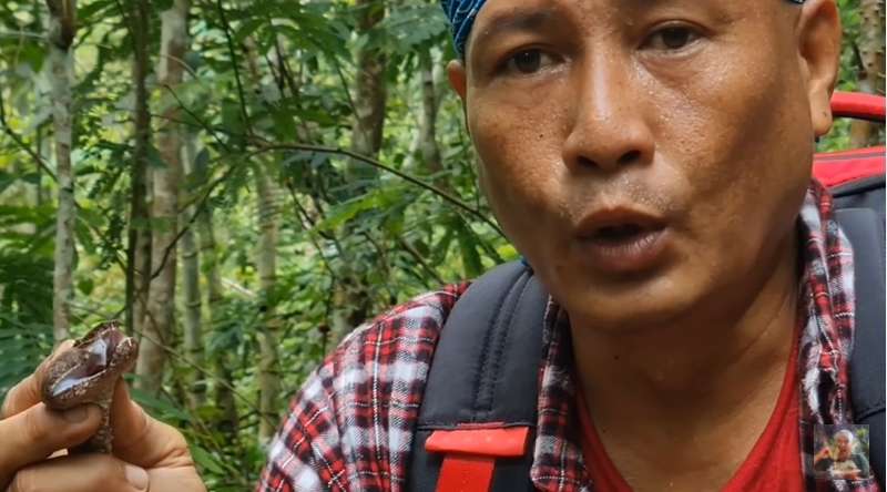 8 Foto Penampakan Ular Penghuni Gunung Merapi yang Ditemukan Heru Gundul, Ngeri Banget!