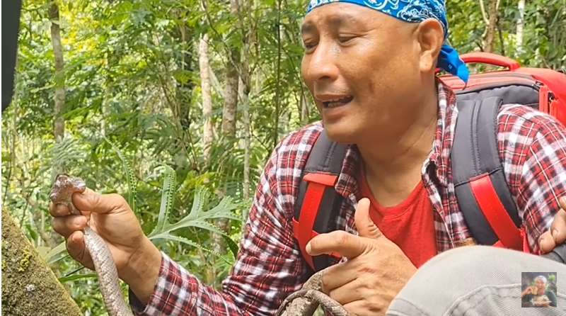 8 Foto Penampakan Ular Penghuni Gunung Merapi yang Ditemukan Heru Gundul, Ngeri Banget!