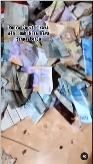 10 Potret Pasutri Bongkar Sarang Tikus di Rumahnya, Isinya Tumpukan Uang Banyak Banget, Auto Kaya!