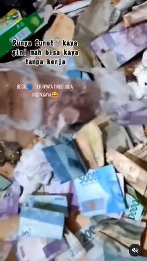 10 Potret Pasutri Bongkar Sarang Tikus di Rumahnya, Isinya Tumpukan Uang Banyak Banget, Auto Kaya!
