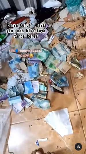 10 Potret Pasutri Bongkar Sarang Tikus di Rumahnya, Isinya Tumpukan Uang Banyak Banget, Auto Kaya!