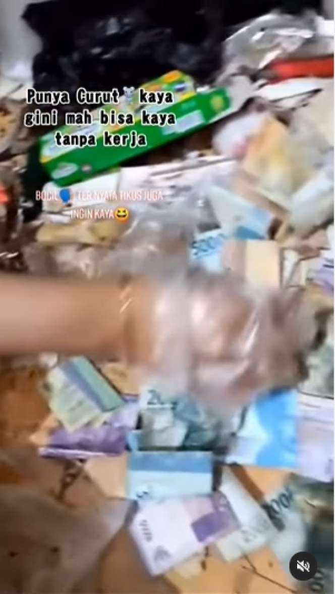 10 Potret Pasutri Bongkar Sarang Tikus di Rumahnya, Isinya Tumpukan Uang Banyak Banget, Auto Kaya!