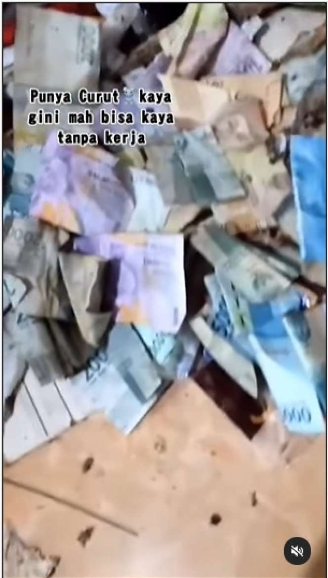10 Potret Pasutri Bongkar Sarang Tikus di Rumahnya, Isinya Tumpukan Uang Banyak Banget, Auto Kaya!