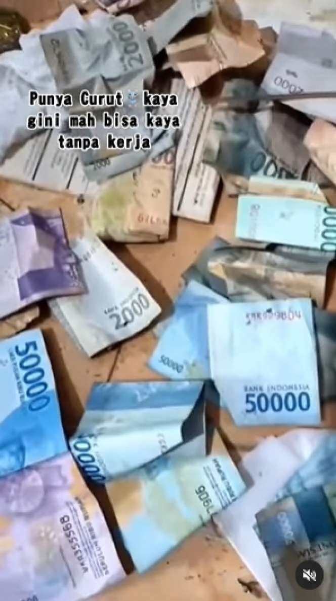 10 Potret Pasutri Bongkar Sarang Tikus di Rumahnya, Isinya Tumpukan Uang Banyak Banget, Auto Kaya!