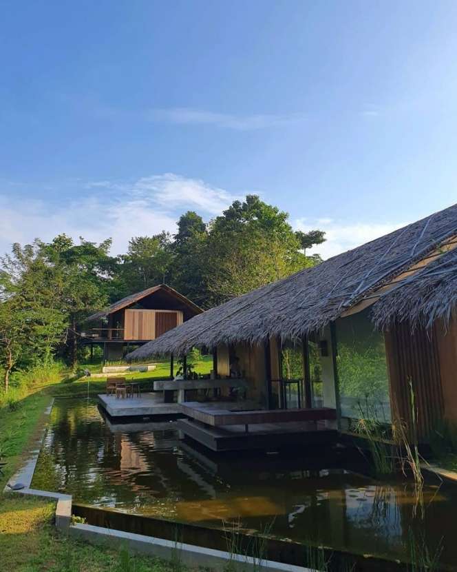 Pemandangan Langka Villa Nicholas Saputra di Pinggir Hutan Sumatera