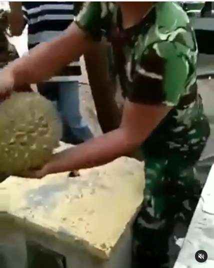 Viral Pria Belah Durian dengan Tangan Kosong, Endingnya Bikin Ngilu, Lihat 8 Potretnya!
