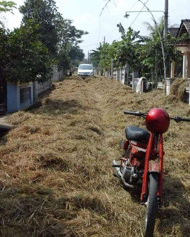 10 Momen Kocak Kendaraan Salah Jalur, Kok Bisa?