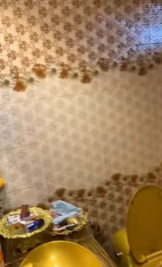 7 Potret Rumah Anti Sombong, di Luar Seperti Gubuk di Dalam Bak Istana!