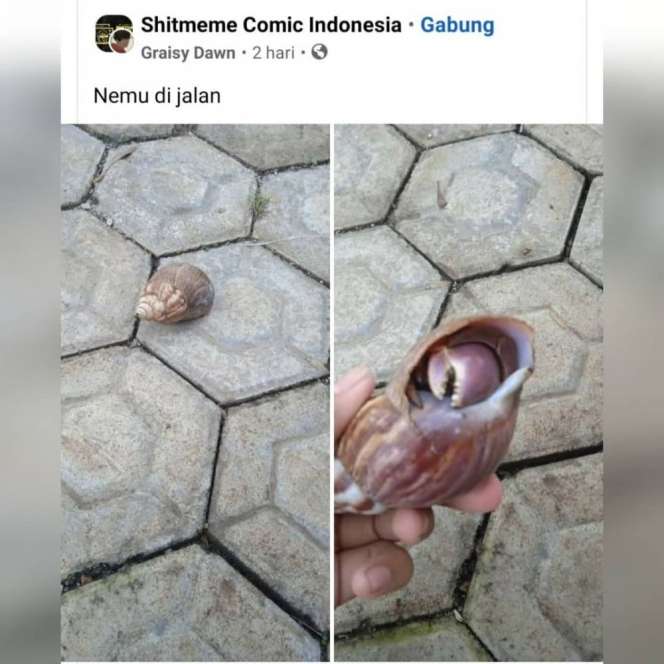 10 Momen Absurd Ini Bikin Mikir Dua Kali, Kok Ada yang Aneh!