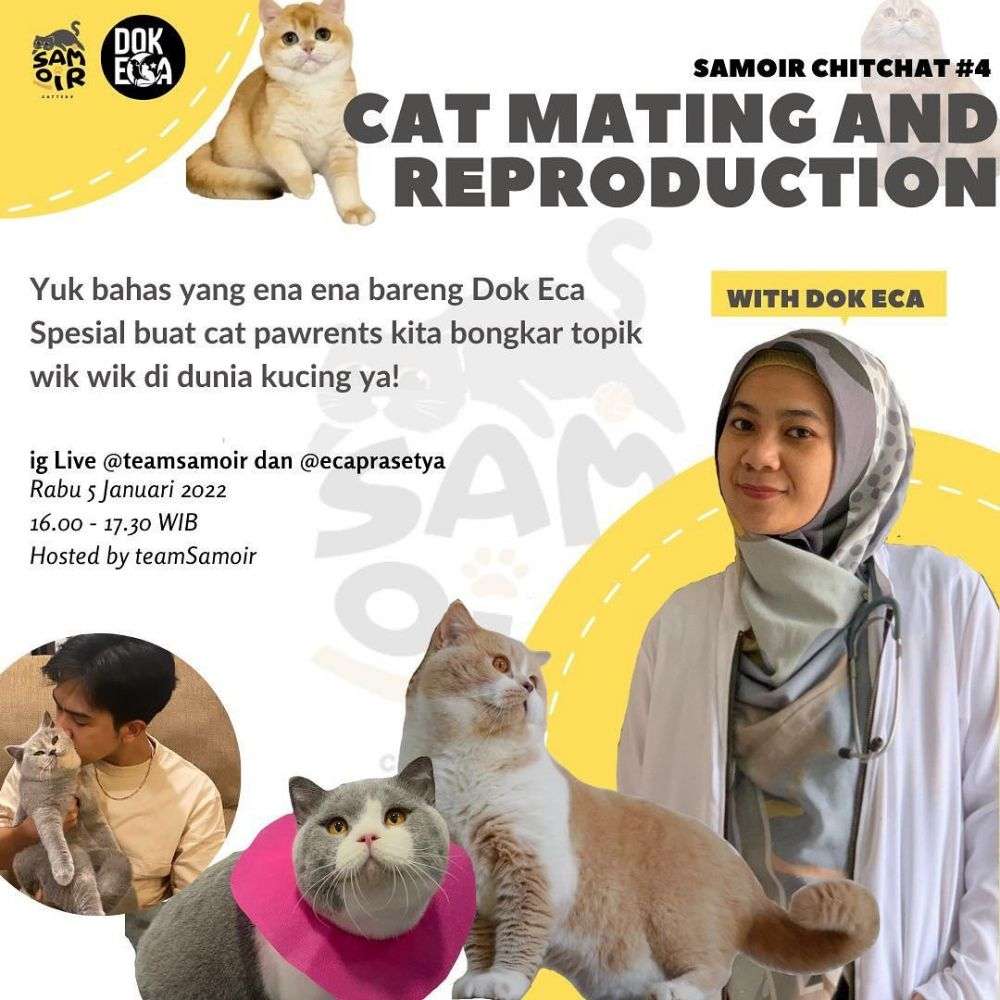 10 Potret Cantiknya Mommy ASF Penulis ‘Layangan Putus’, Sosok Kinan di Dunia Nyata?