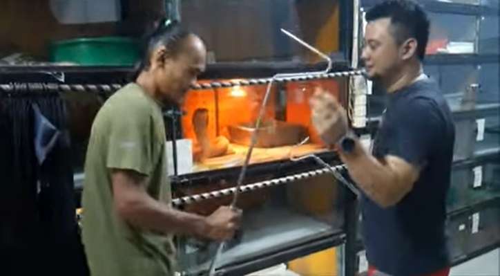 Aksi Panji Petualang Mandikan Ular King Kobra Goldhi, Salfok Warna Kulitnya!