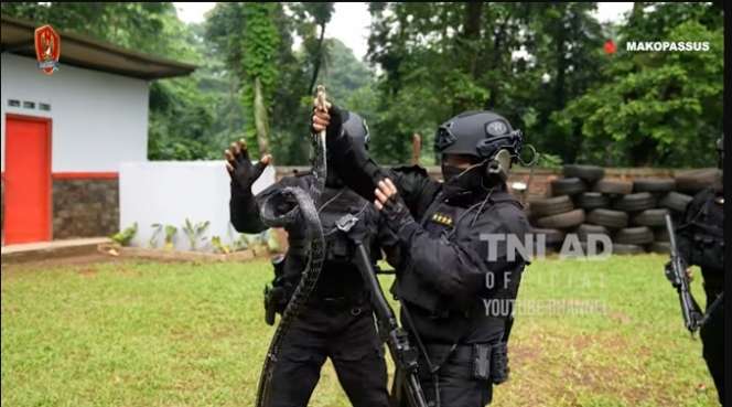 Aksi Kasad TNI Dudung Abdurachman Saat Latihan Teror, Sangar Banget!