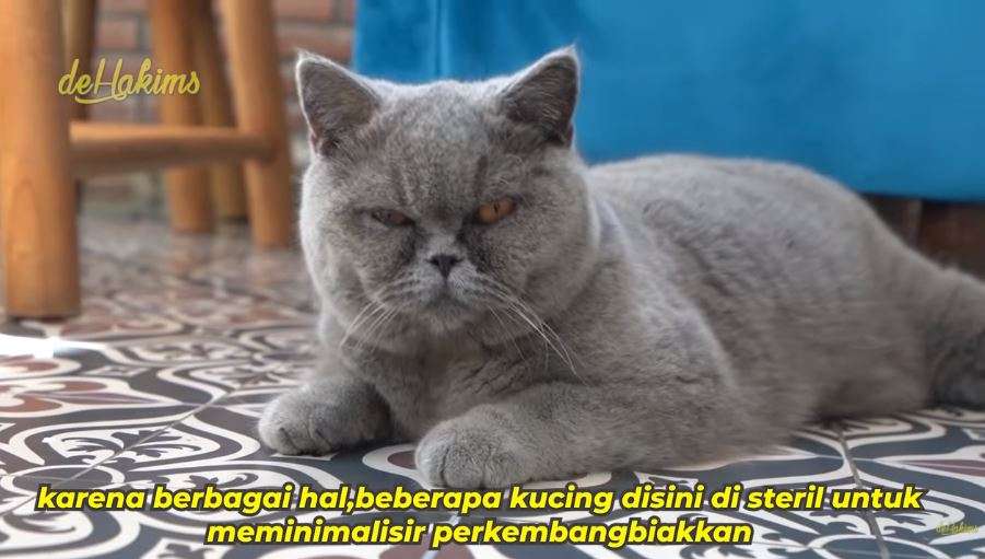 10 Potret Mini Zoo Milik ‘Sultan’ Gilang Juragan99, Keren Banget Ada Taman Bunga Luas!