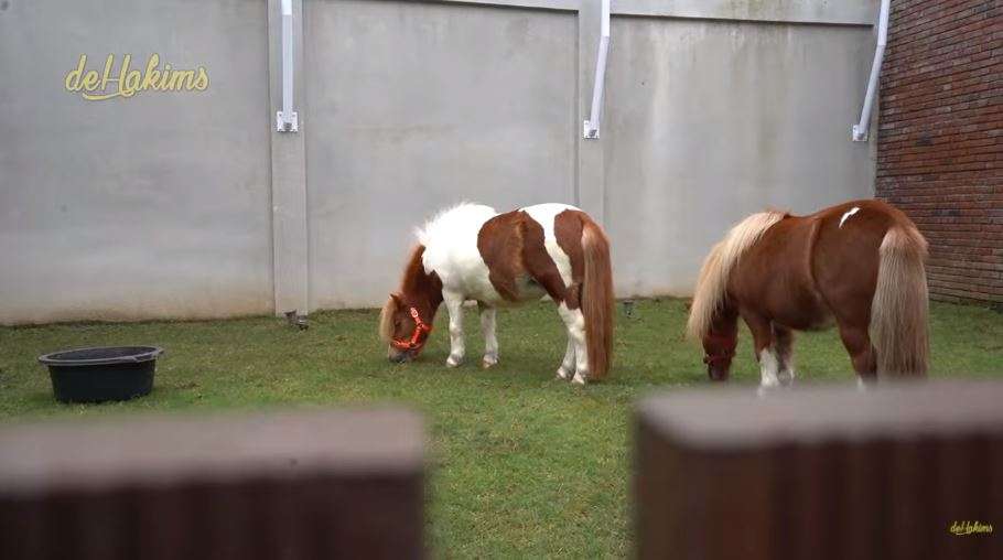 10 Potret Mini Zoo Milik ‘Sultan’ Gilang Juragan99, Keren Banget Ada Taman Bunga Luas!
