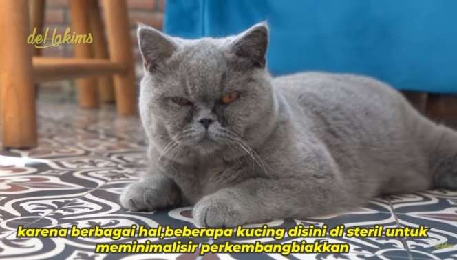 10 Potret Mini Zoo Milik ‘Sultan’ Gilang Juragan99, Keren Banget Ada Taman Bunga Luas!
