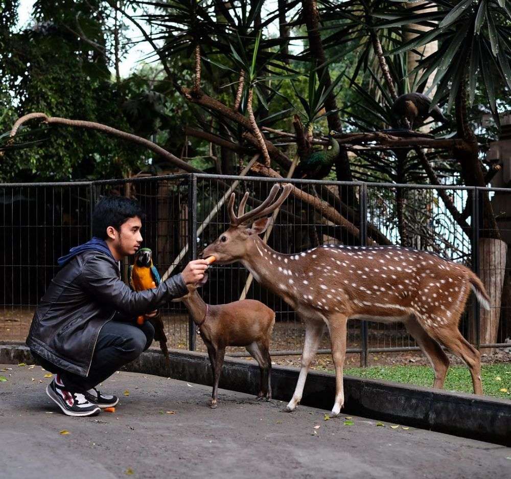 Potret Mini Zoo Pribadi Milik 7 Artis ‘Sultan’, Milik Juragan99 Mewahnya Bikin Melongo!